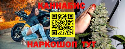 крисы Гай