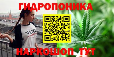 крисы Гай