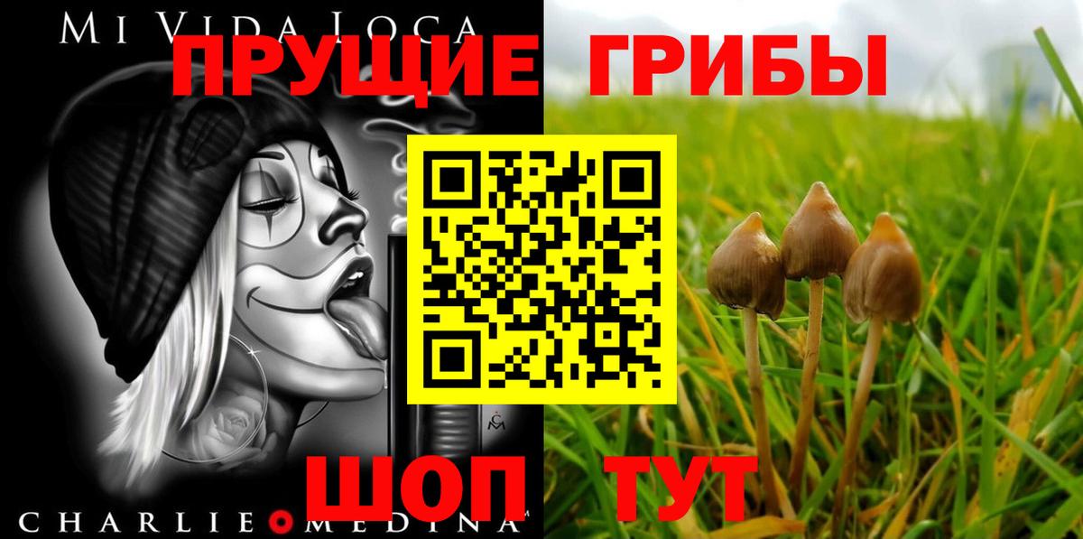 Псилоцибиновые грибы мицелий Пугачёв