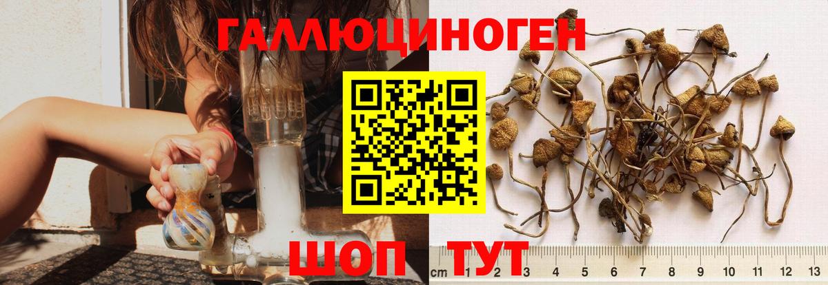Галлюциногенные грибы GOLDEN TEACHER  Вход с VPN  Пугачёв 
